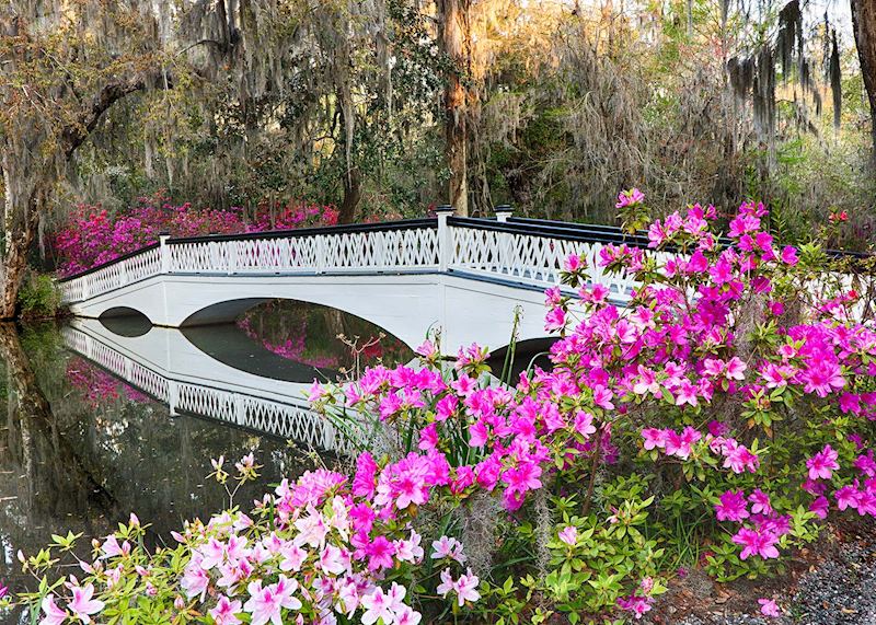 Magnolia Plantation and Gardens, South Carolina