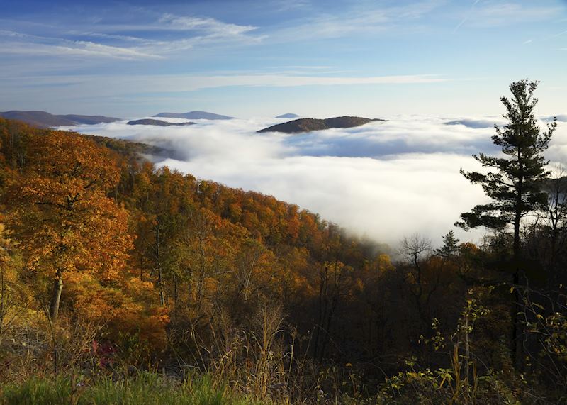 Shenandoah National Park