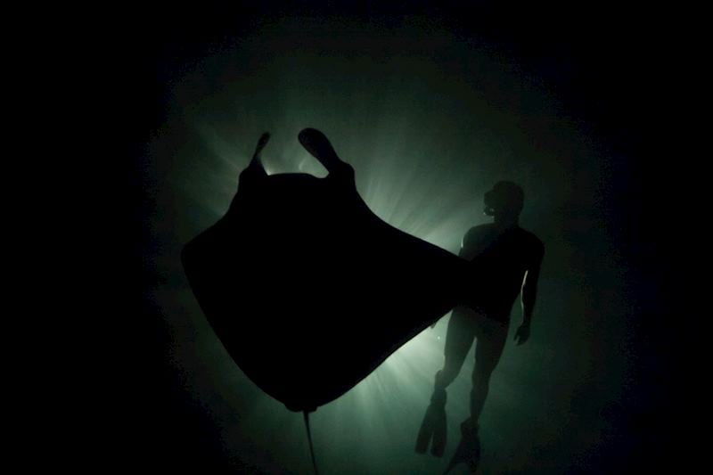 Night-time snorkel with a manta ray