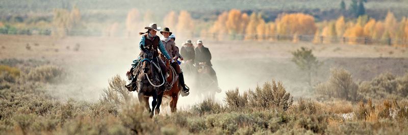 Horse riding at the Goosewing Ranch