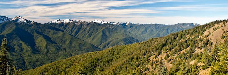 View from Hurricane Ridge