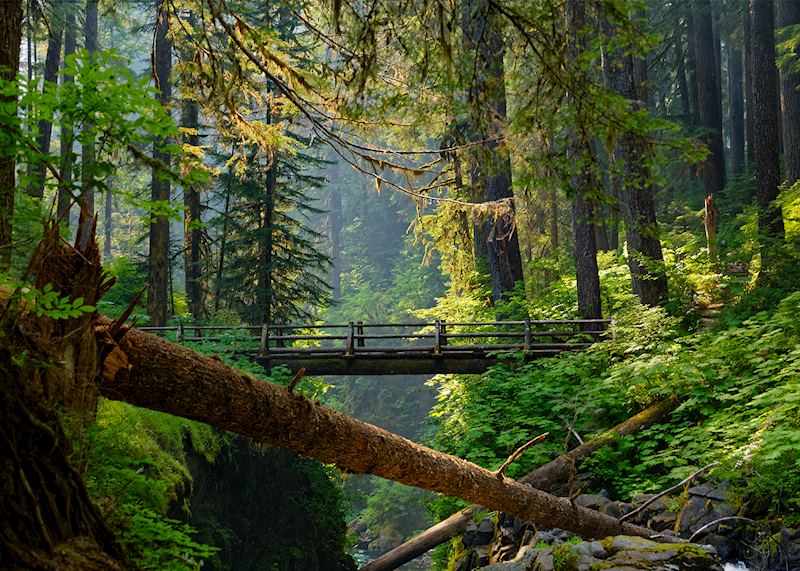 Olympic National Park