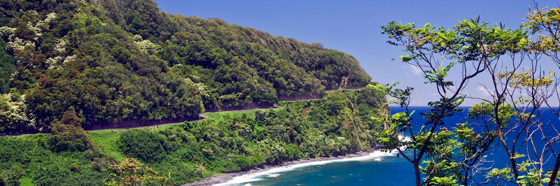 The road to Hana, Maui