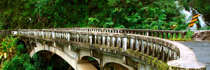 Pass hidden waterfalls on the Road to Hāna