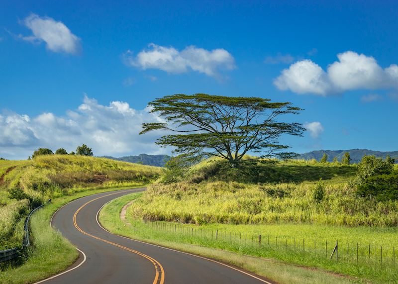 Road on Kauaʻi 