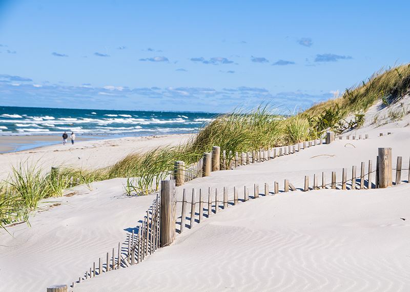 Beach at Cape Cod