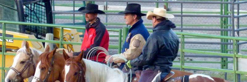 Cowboys at a local rodeo in Jackson