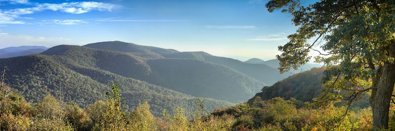 Shenandoah National Park