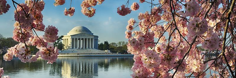 The Jefferson Memorial, Washington DC