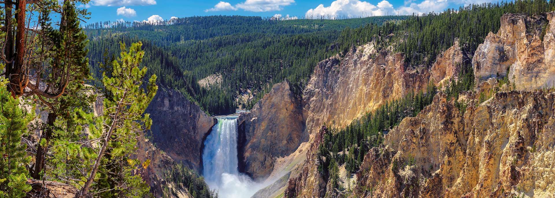 Lower Falls, Yellowstone National Park