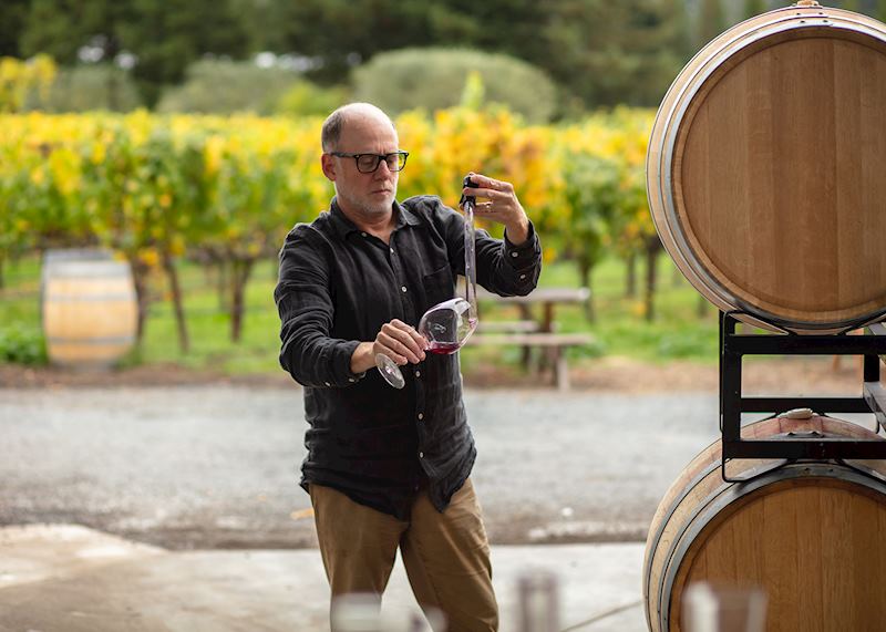 Winery, Sonoma County