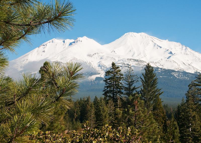 Mount Shasta