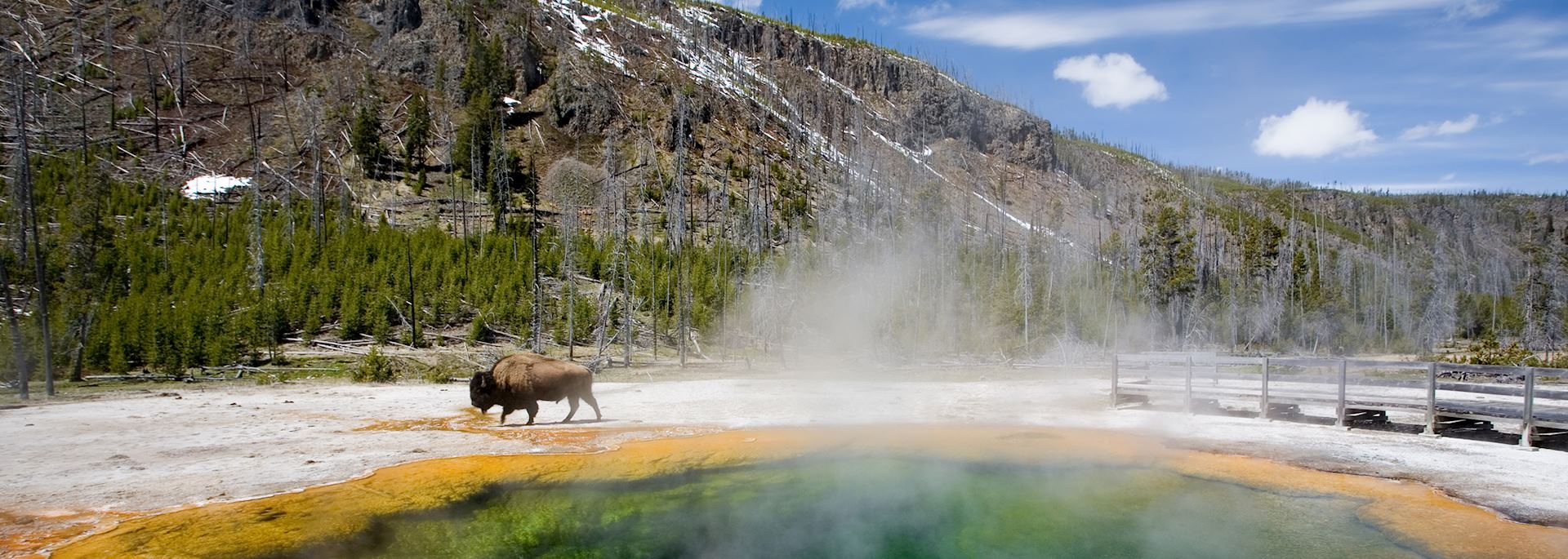 Emerald Pool, Yellowstone