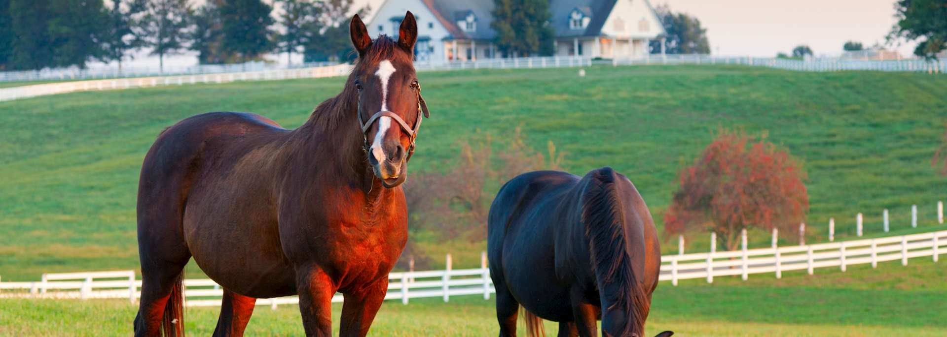 Visit Lexington on a trip to USA | Audley Travel UK, image size:1920x685
