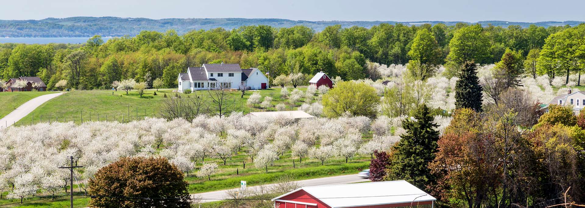 Cherry blossom in Traverse City