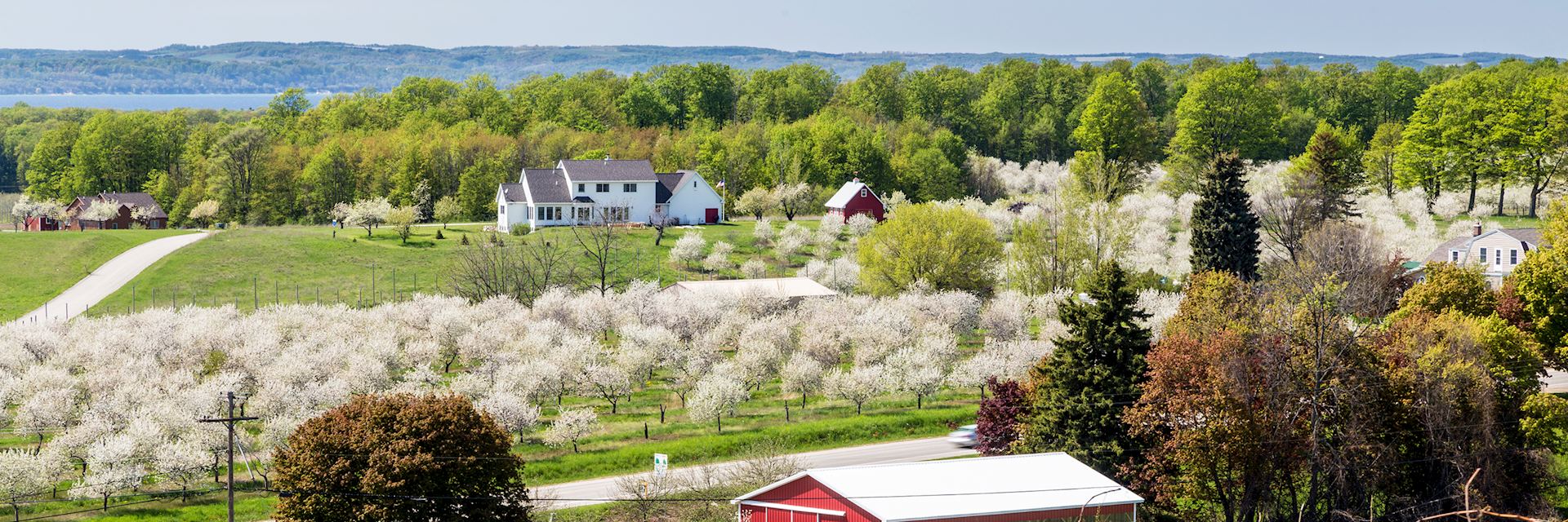 Cherry blossom in Traverse City