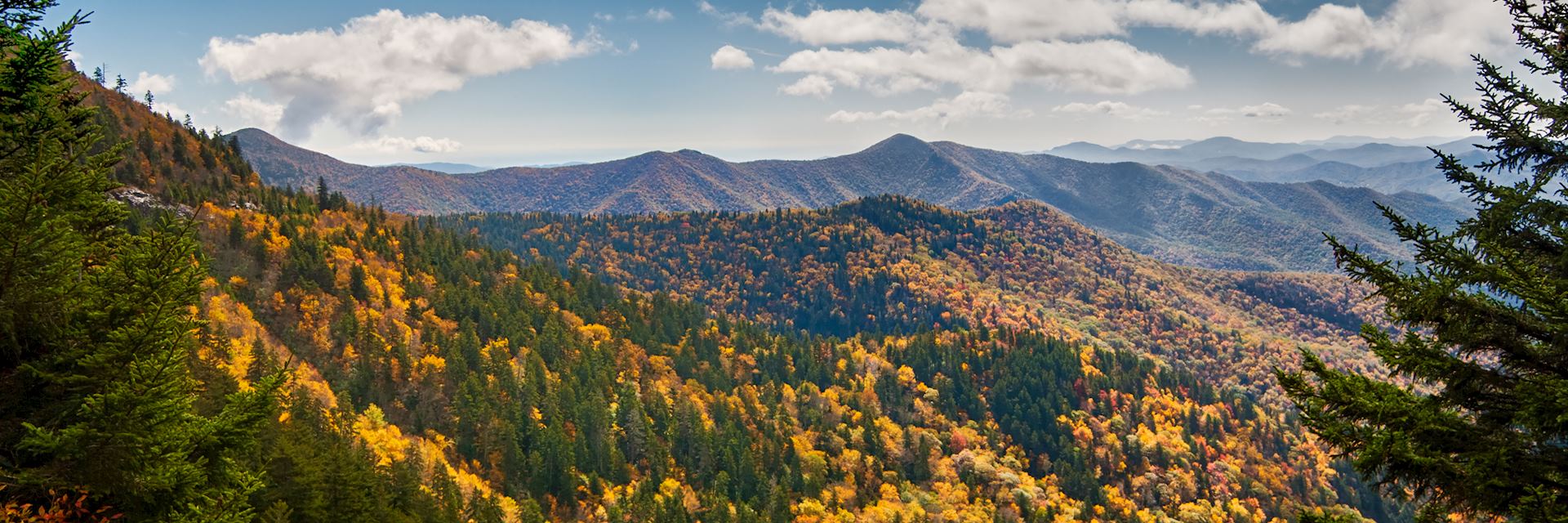 Mountains above the Blue Ridge Parkway