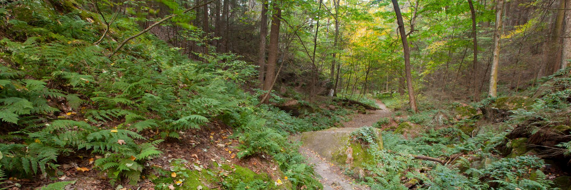 Ice Glen, Stockbridge