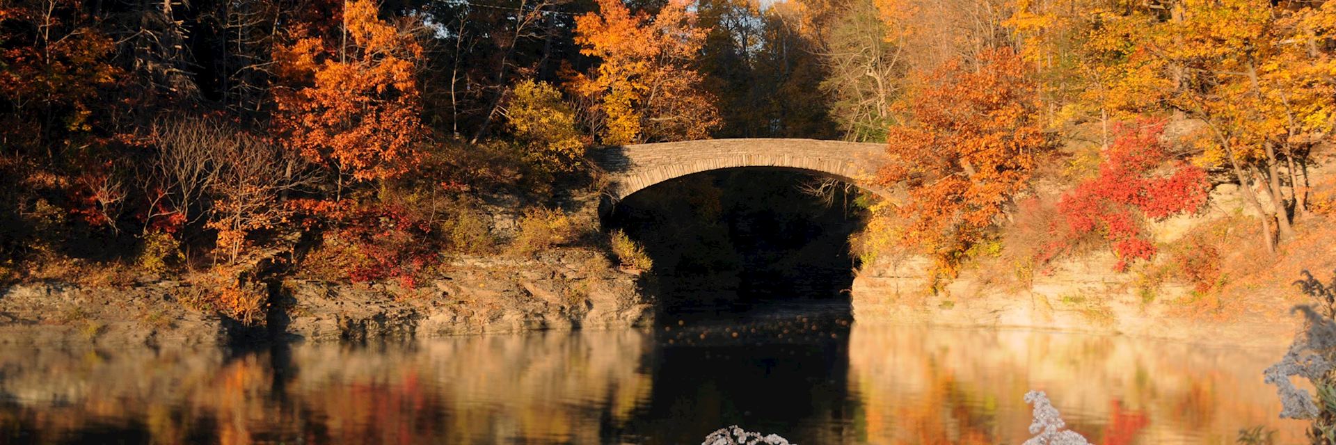 Finger Lakes Region near Ithaca