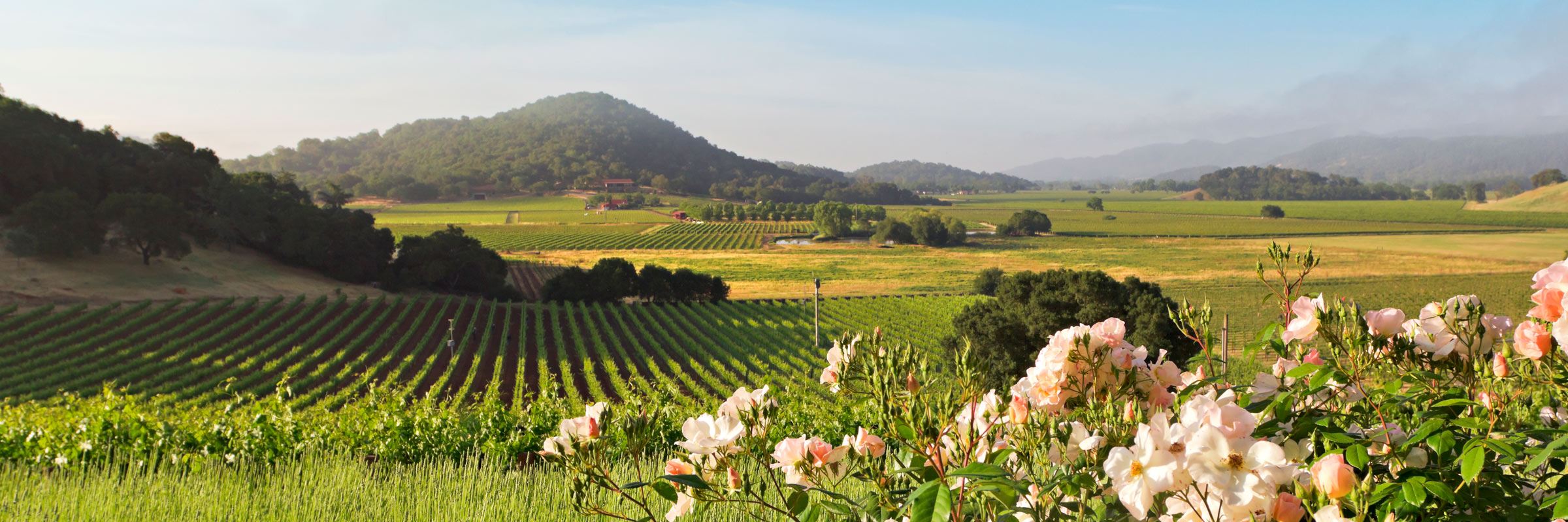 Napa valley deals california