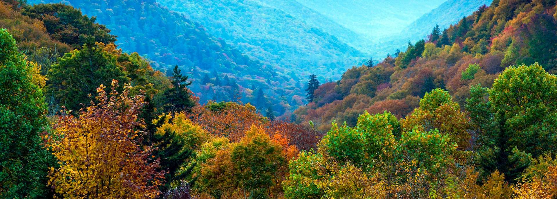 Great Smoky Mountains National Park, the USA