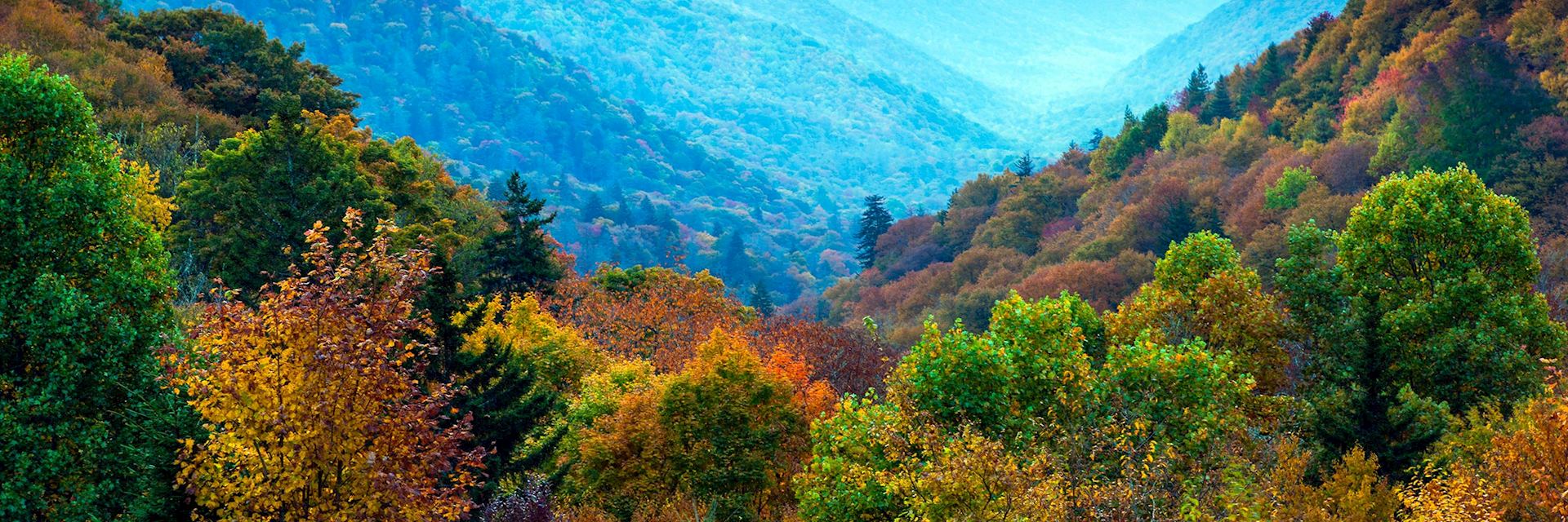 Great Smoky Mountains National Park, the USA