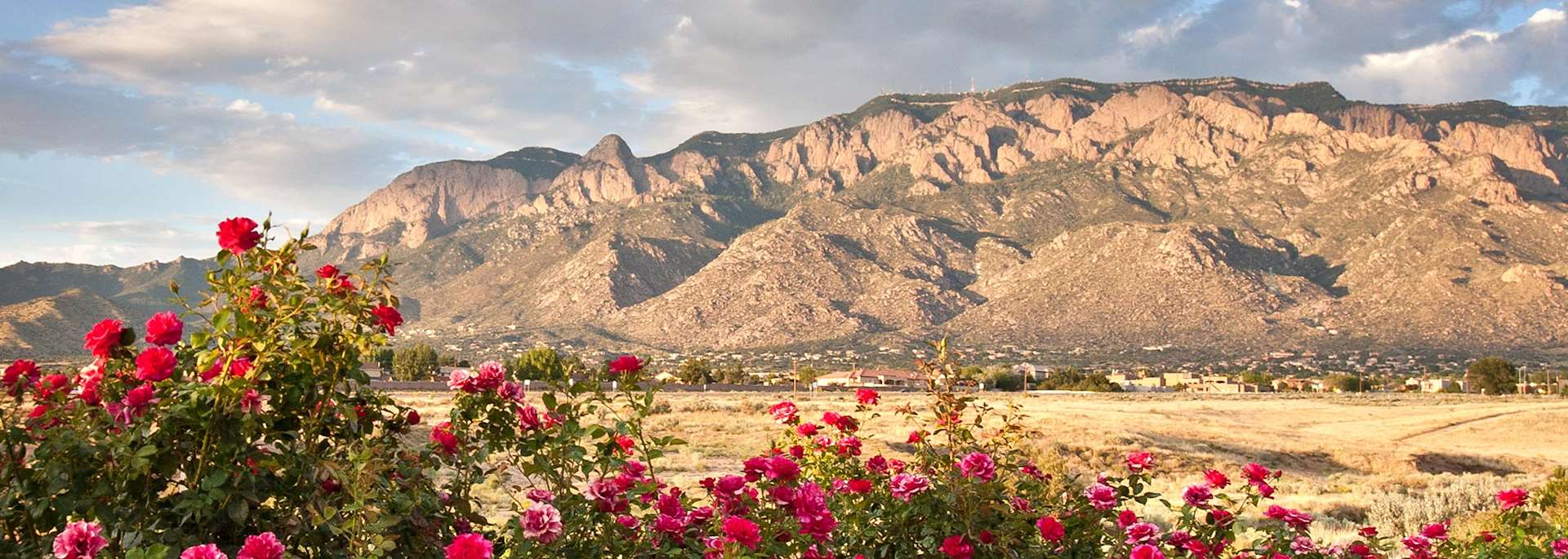 Albuquerque, New Mexico