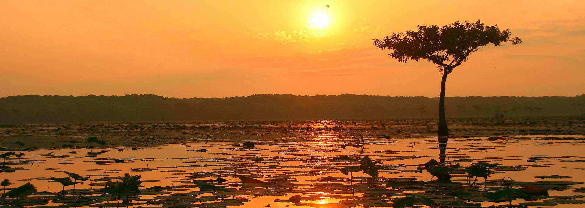 Lake Martin Nature Reserve, Lafayette, the USA