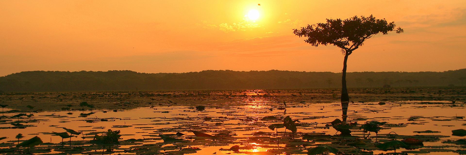 Lake Martin Nature Reserve, Lafayette, the USA