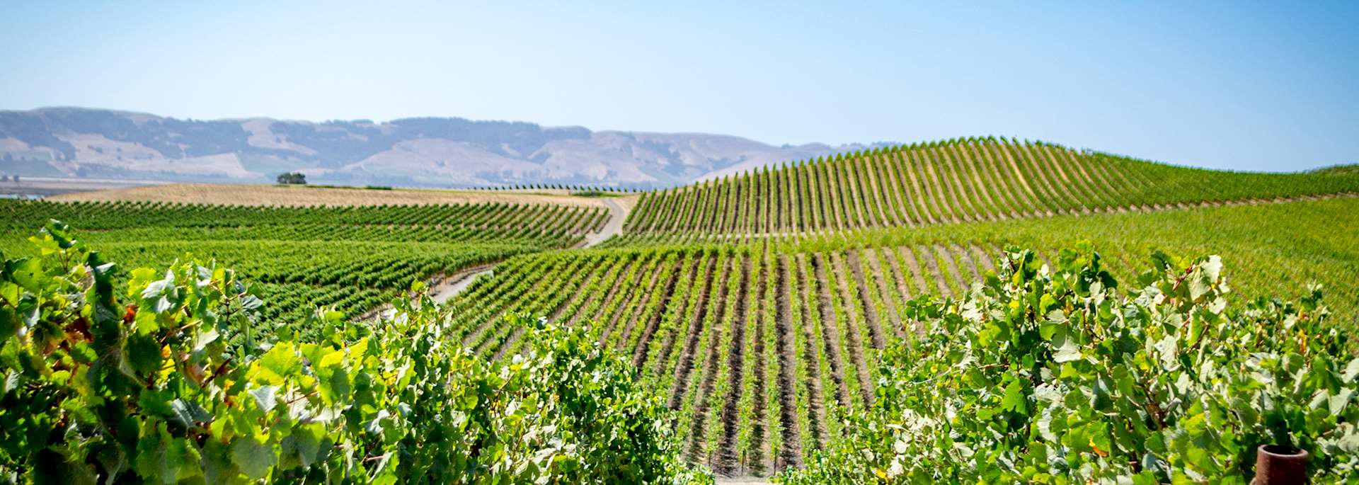 Napa Valley, California