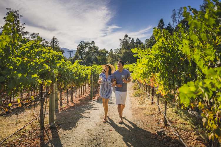 Napa Valley vineyard (©Visit California/David Collier)