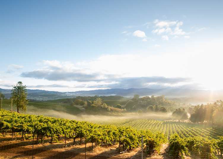 Sonoma Valley
