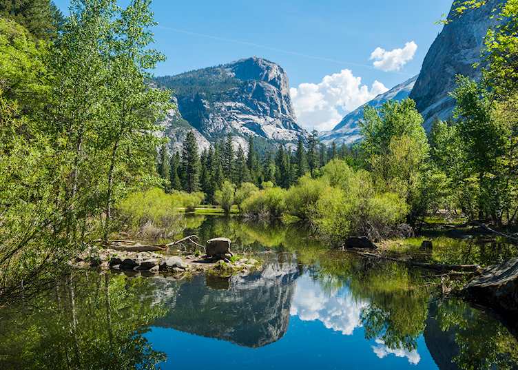 Yosemite National Park