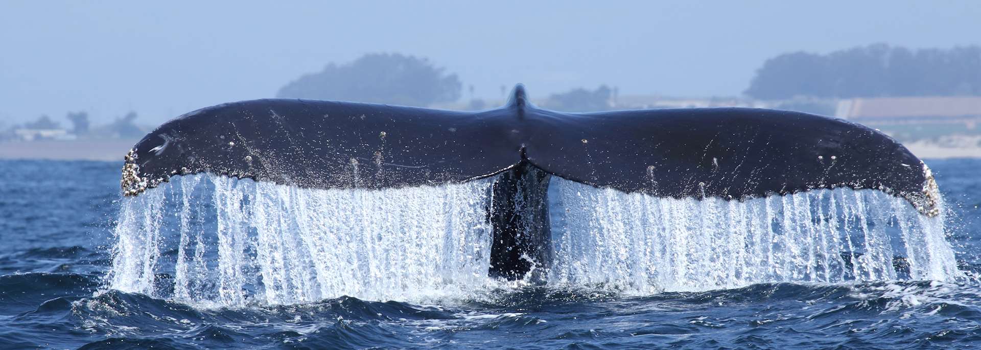 Monterey Bay, California