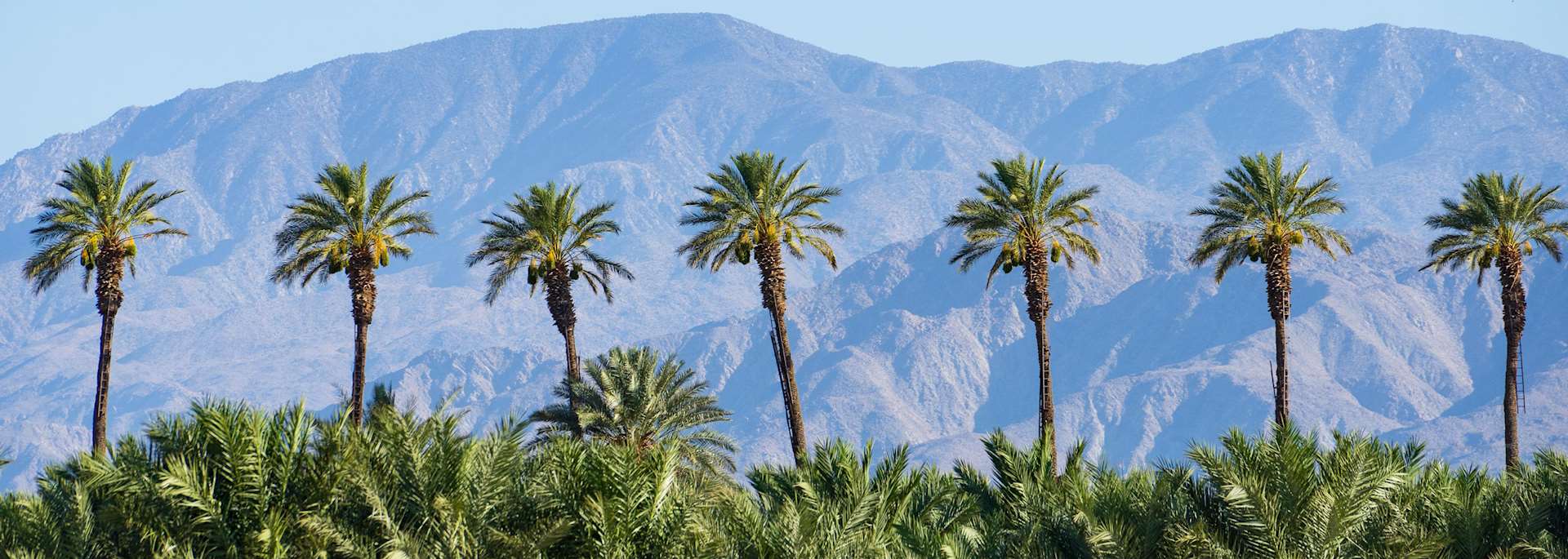 Palm Springs