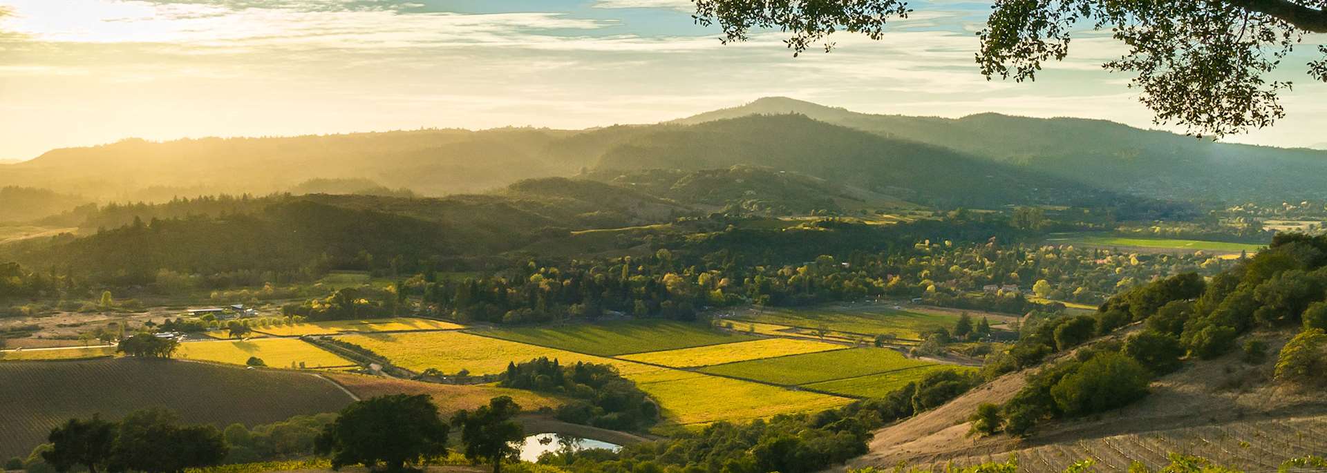 Sonoma Valley
