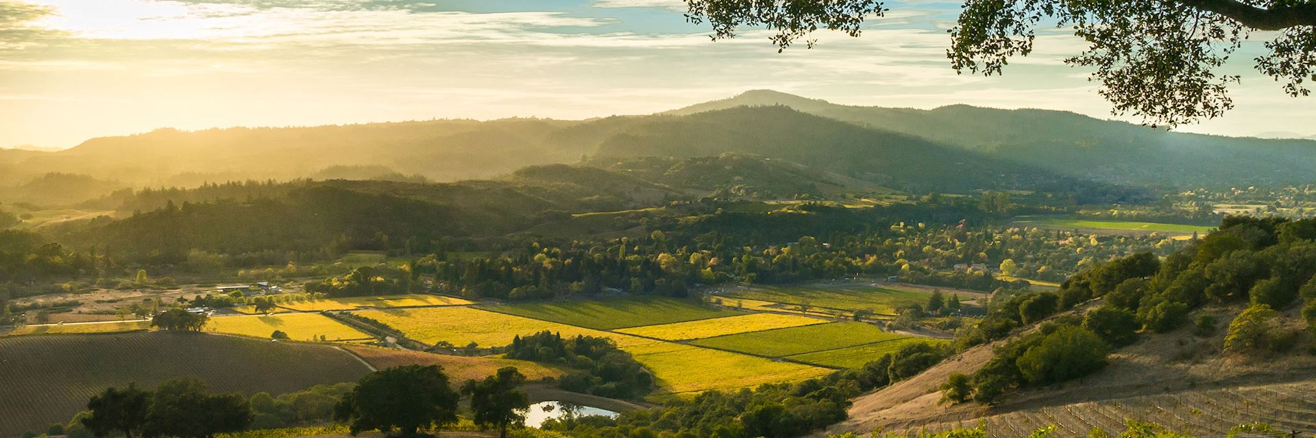 Sonoma Valley