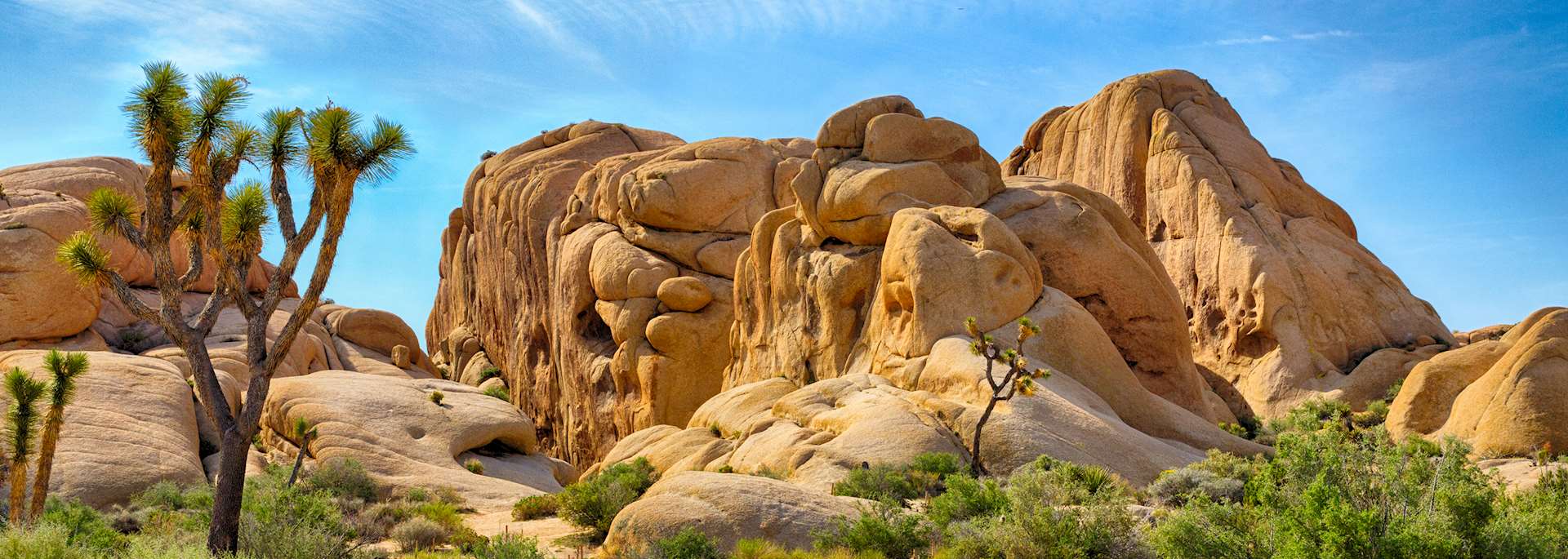 Joshua Tree National Park