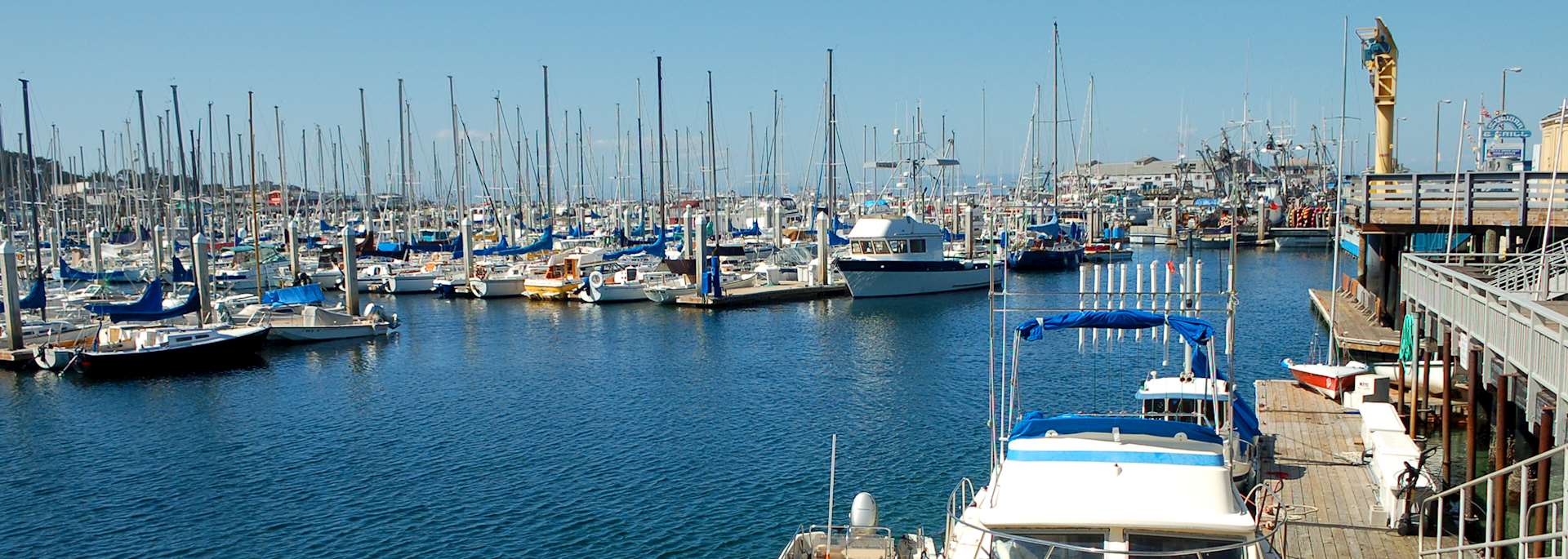 Monterey