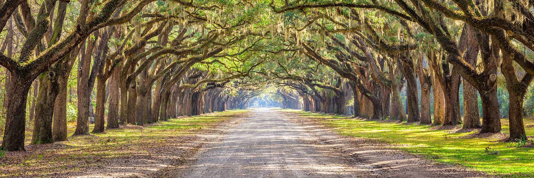 Best Time to Visit the Deep South | Climate Guide | Audley Travel