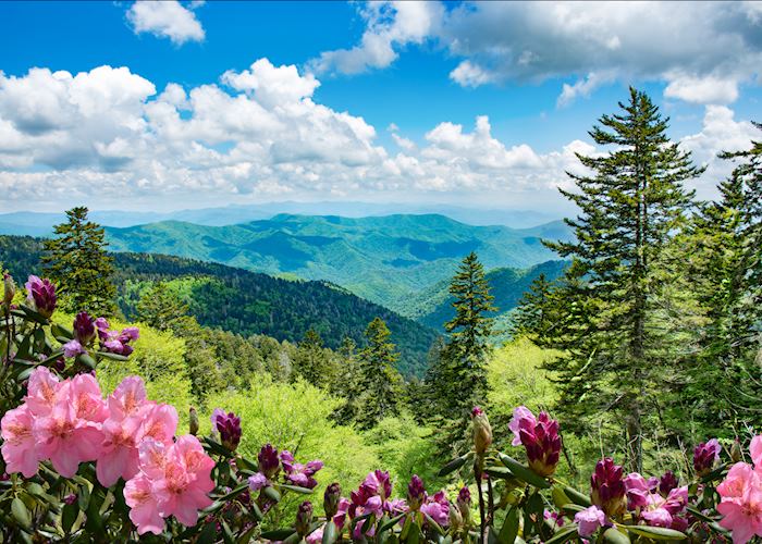Blue Ridge Mountains, North Carolina