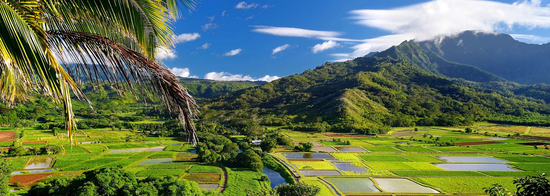 Hanalei Valley, Kauaʻi