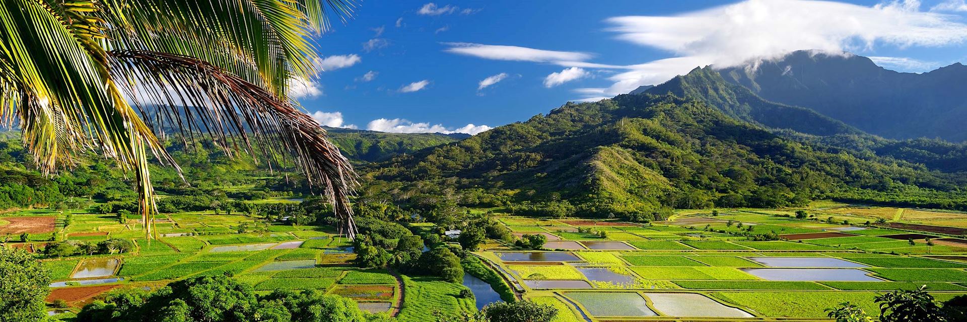 Hanalei Valley, Kauai
