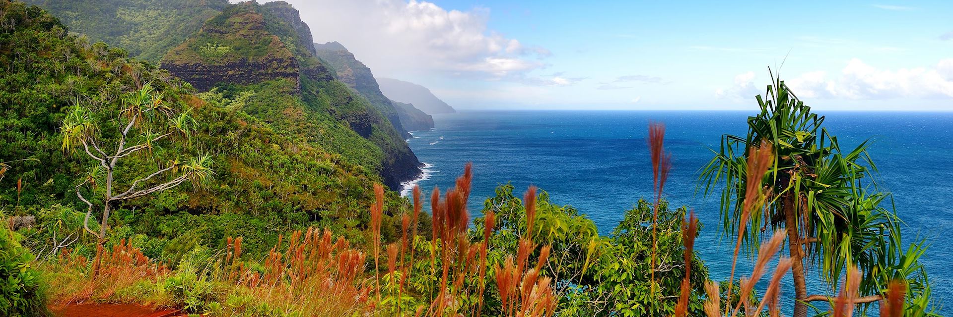 travel to hawaii in february 2021 covid travel to hawaii in february 2021 covid