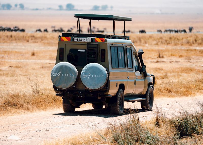 Safari in the Ngorongoro Crater