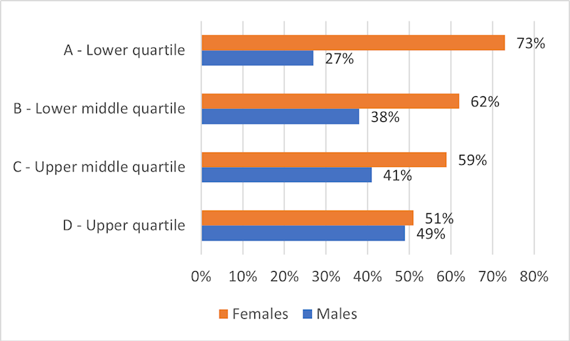 Gender Pay Gap Report 2022 Graph