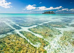 Coral reefs, Eleuthera