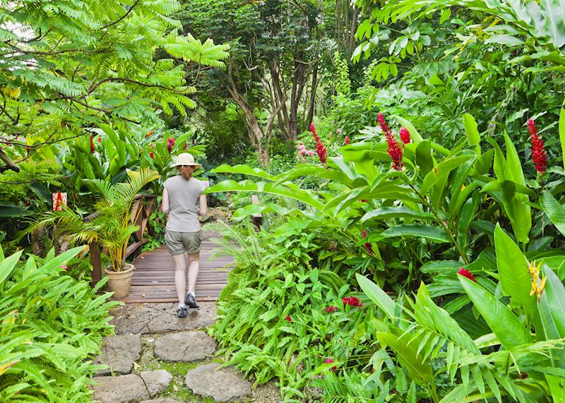 Andromeda Botanic Gardens