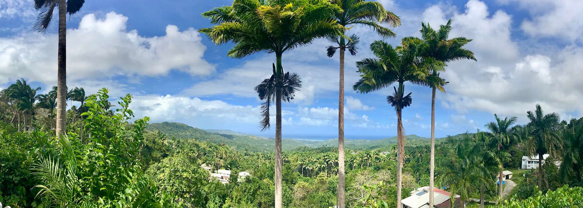 Saint Thomas Parish, Barbados