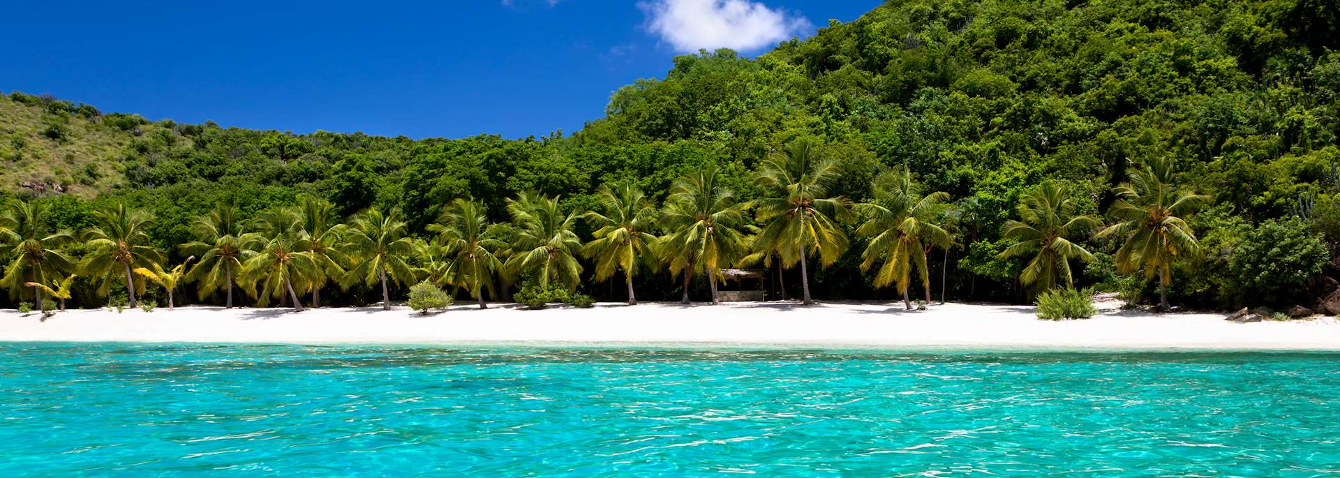 Guana Island beach